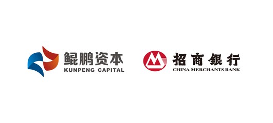 鯤鵬展翅，資本賦能——探析深圳市鯤鵬招銀國資改革與戰略發展股權投資基金的投資咨詢價值